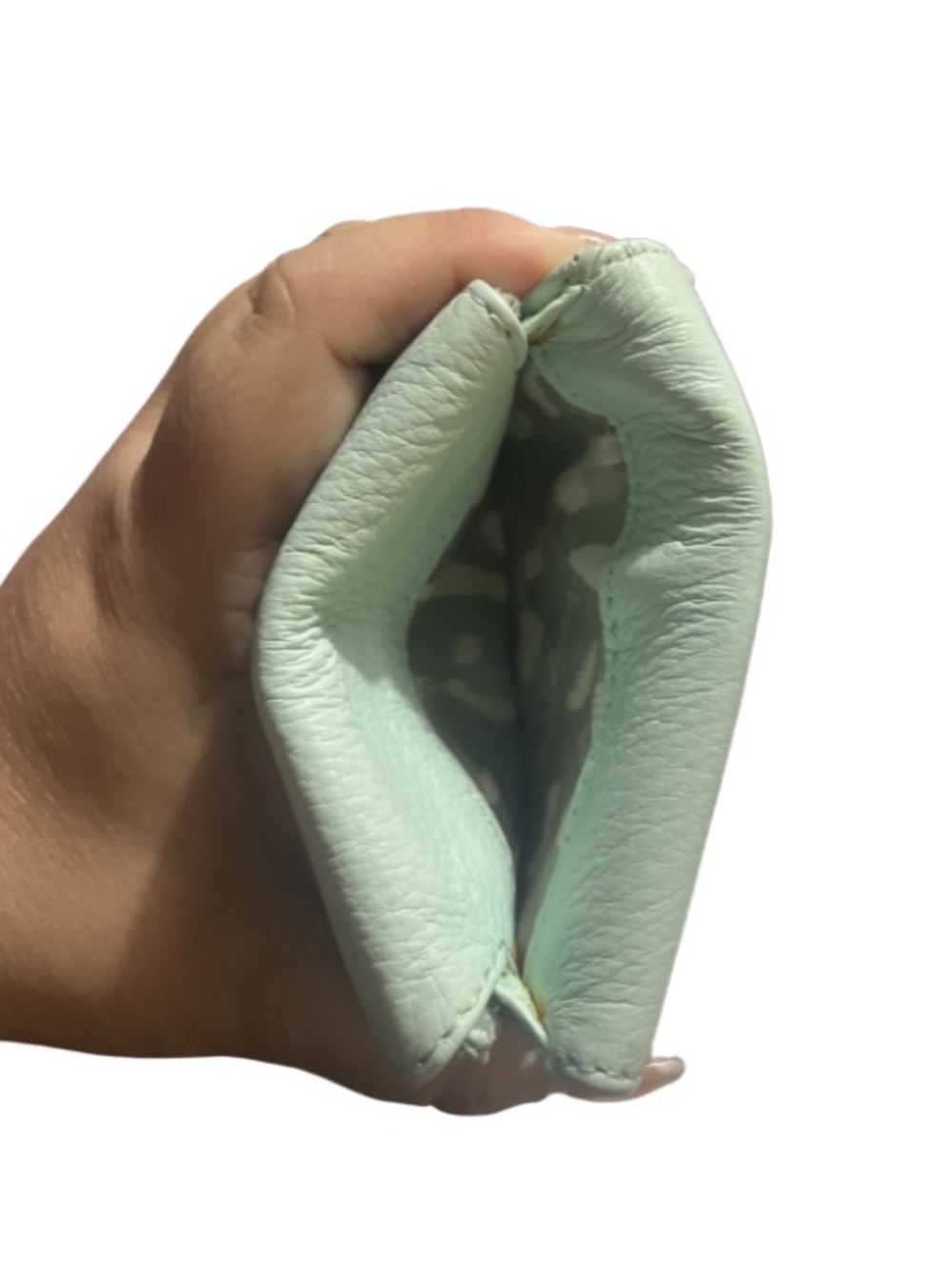 Aimee Kestenberg Ashley Mint
Green Pebbled Leather Mini
Pouch Wallet - Picture 6 of 10